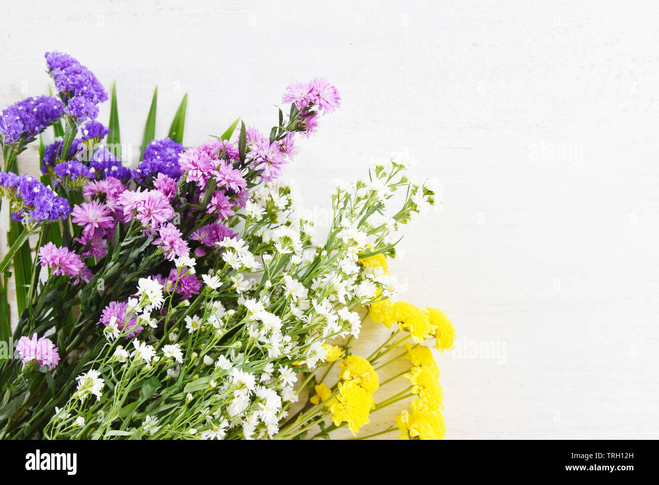 Strauß frischer Frühling bunte Blume mit gelben Mama, Marguerite Violett und Weiß cutter Blumen auf weißem Holz- Hintergrund Stockfoto