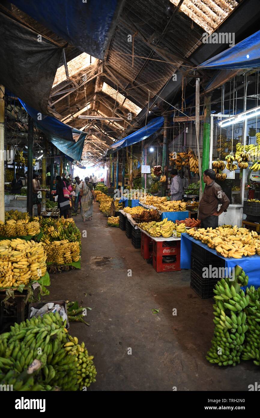 Banane Verkäufer auf Devaraja Market in Mysore, Indien Stockfoto