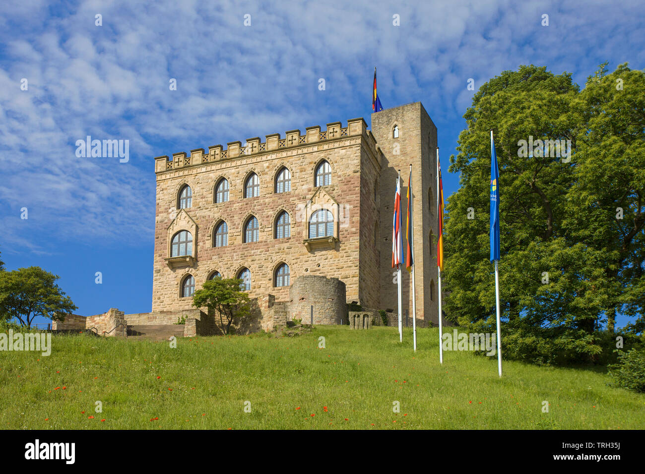 Das Hambacher Schloss (Deutsch: Hambacher Schloss), Symbol der Deutschen Demokratiebewegung, Neustadt an der Weinstraße, Rheinland-Pfalz, Deutschland Stockfoto