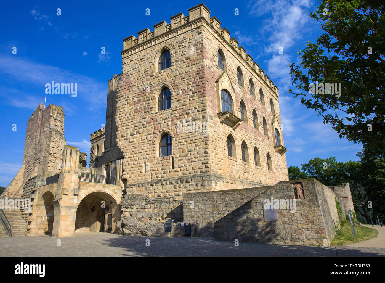 Das Hambacher Schloss (Deutsch: Hambacher Schloss), Symbol der Deutschen Demokratiebewegung, Neustadt an der Weinstraße, Rheinland-Pfalz, Deutschland Stockfoto
