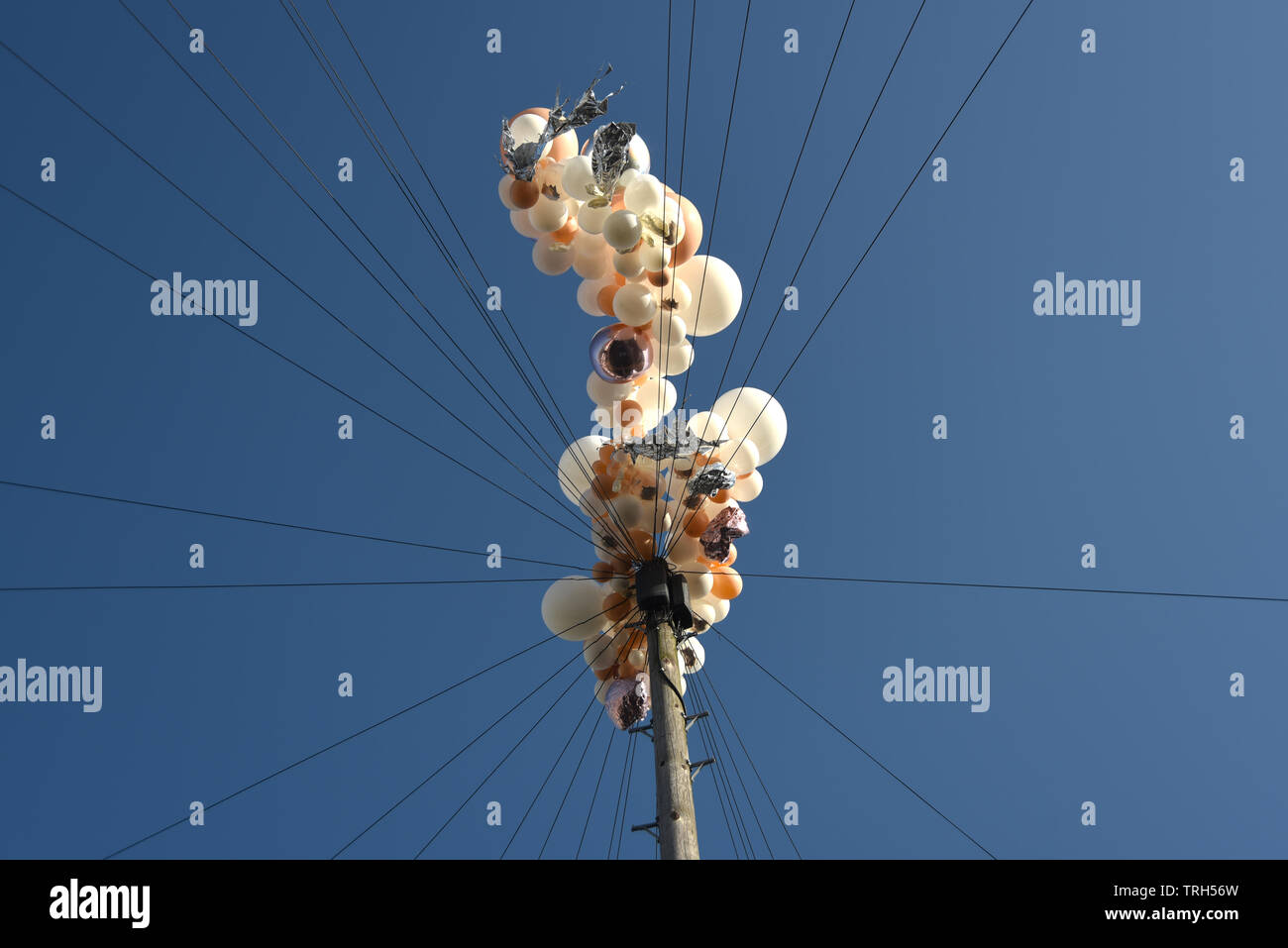 Luftballons im Telefon Kabel verfangen Stockfoto