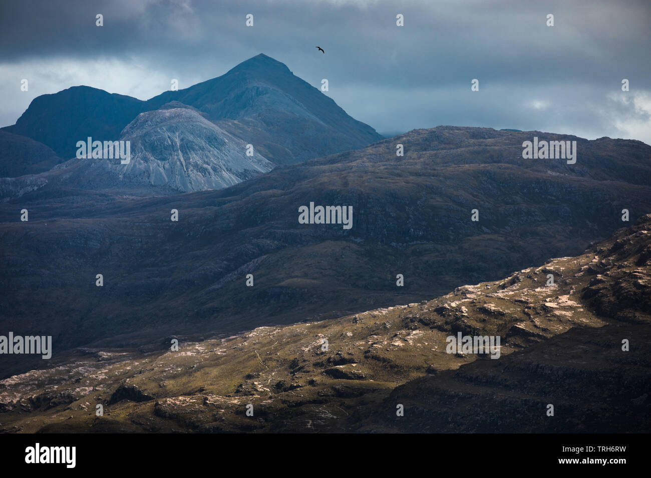 Ein Vogel rasant über die torridon Berge, Wester Ross, Schottland, Großbritannien Stockfoto