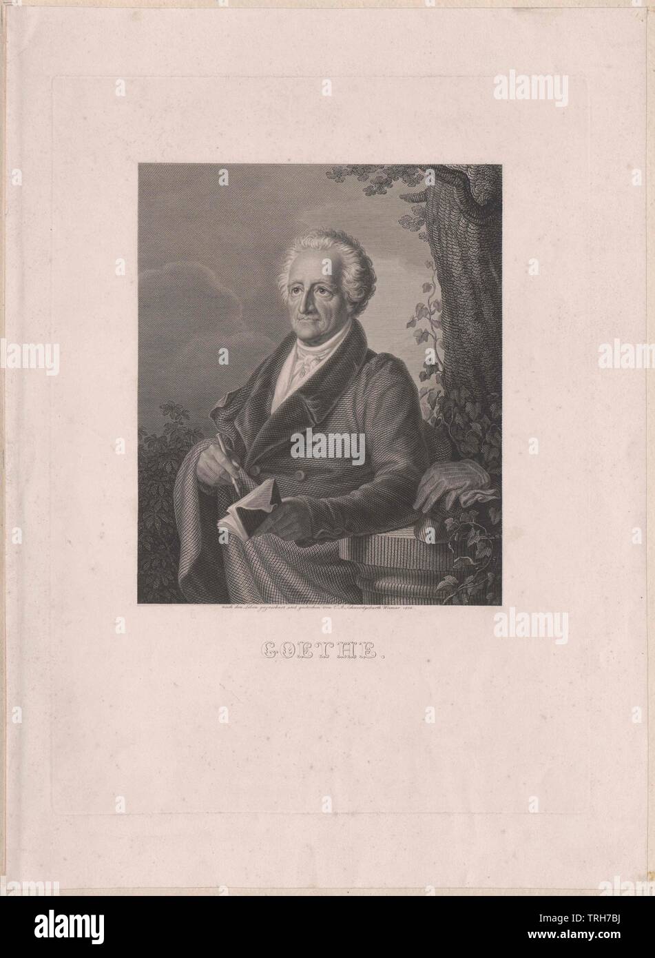 Goethe, Johann Wolfgang von, Additional-Rights - Clearance-Info - Not-Available Stockfoto