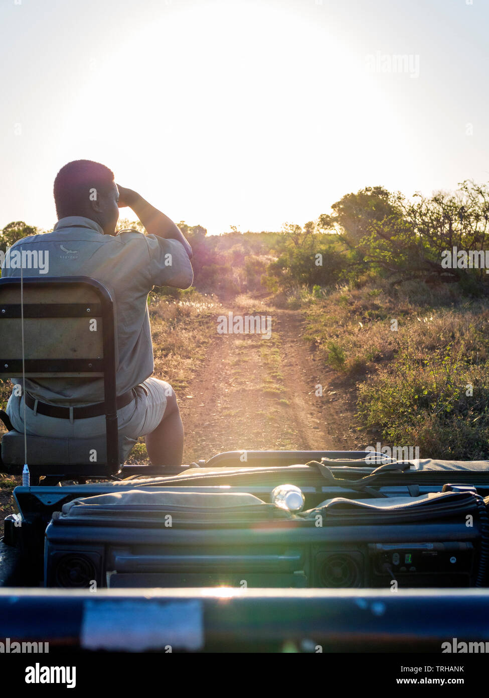 Ein Tracker auf der Suche nach Big Game im Phinda Private Game Reserve andBeyond besessen, ein Naturschutzgebiet, Südafrika. Stockfoto