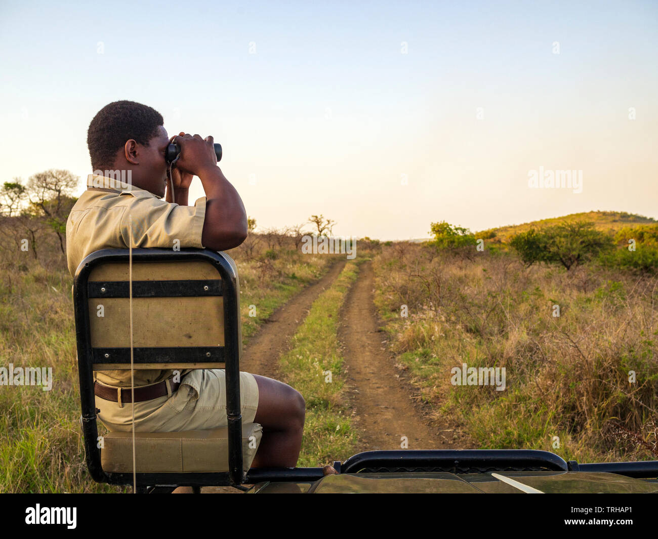 Ein Tracker auf der Suche nach Big Game im Phinda Private Game Reserve andBeyond besessen, ein Naturschutzgebiet, Südafrika. Stockfoto