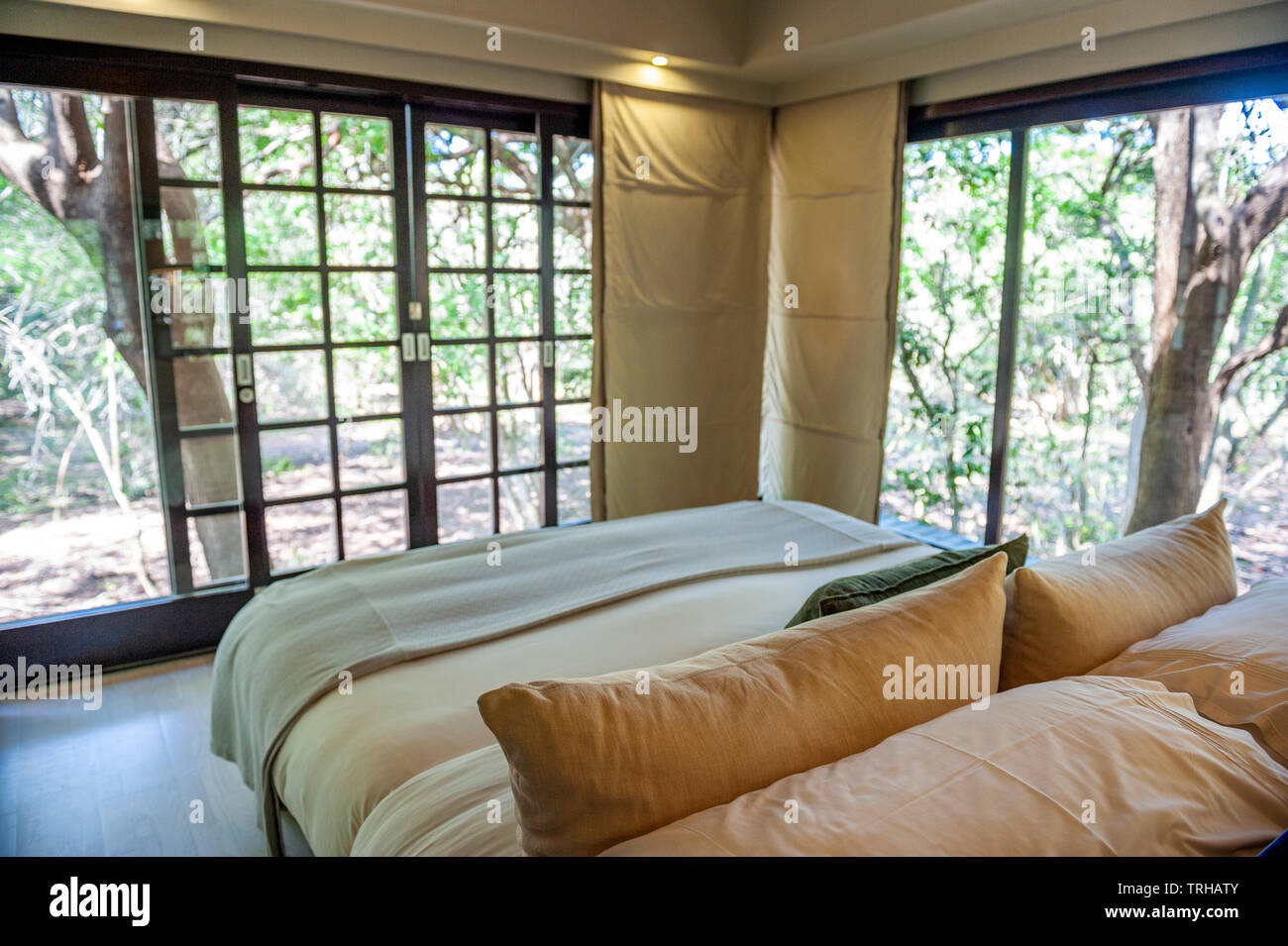 Ein Zimmer im Forest Lodge, einer von mehreren Luxus Hotels im Phinda Private Game Reserve in Südafrika. Stockfoto