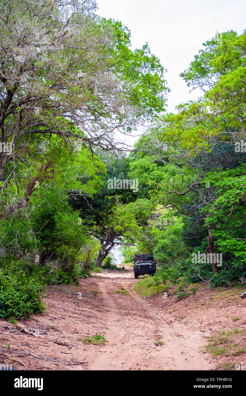 Eine touristische Safari Jeep im Phinda Private Game Reserve andBeyond besessen, ein Naturschutzgebiet im östlichen Südafrika. Stockfoto