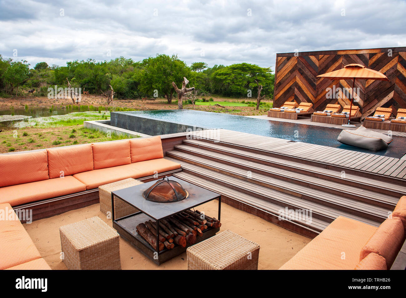 Der Pool mit Blick auf das wilde Leben der Phinda Homestead in Phinda Private Game Reserve andBeyond besessen, ein Naturschutzgebiet im östlichen Südafrika. Stockfoto