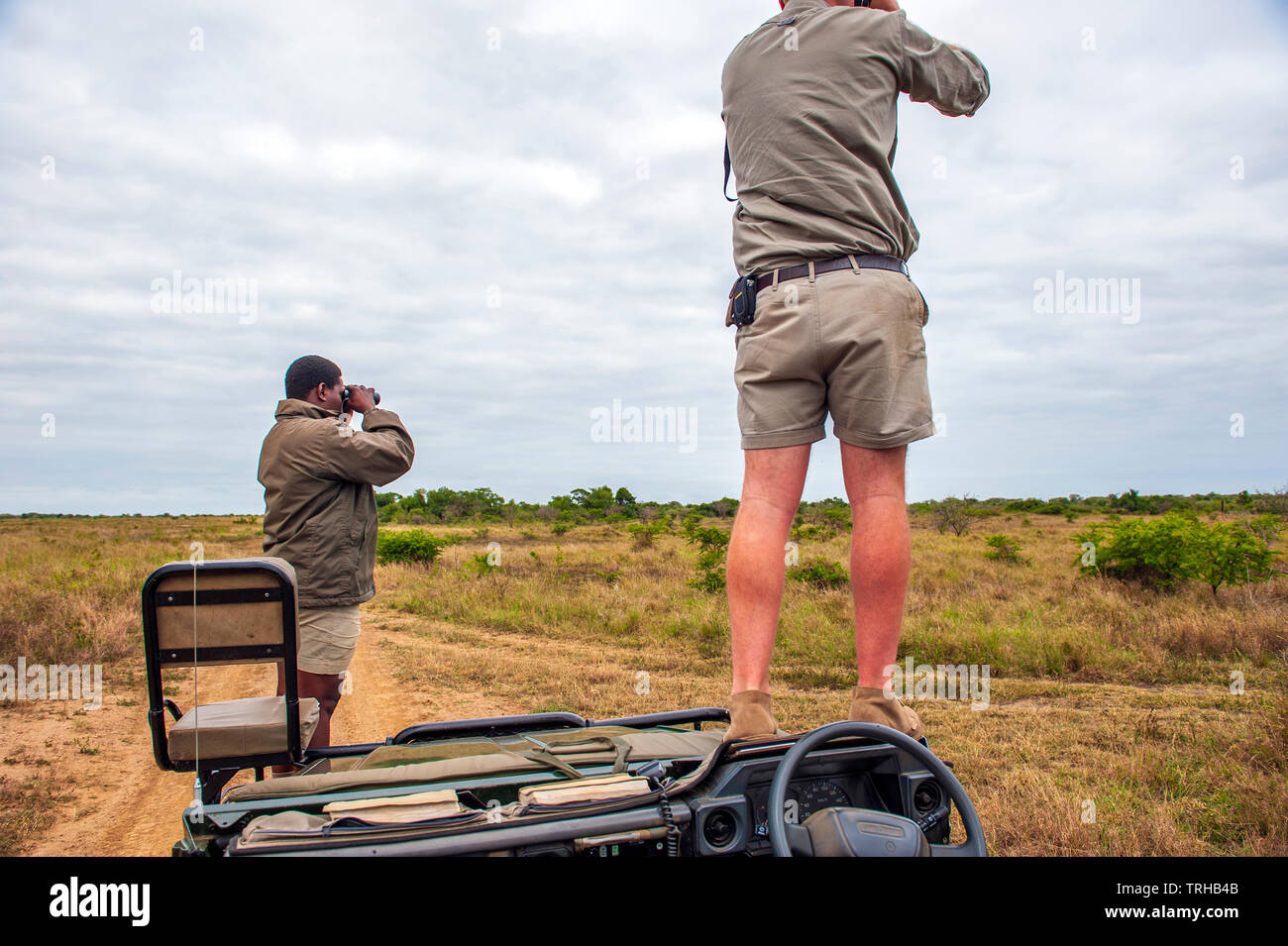 Ein Tracker und Guide auf der Suche nach Big Game im Phinda Private Game Reserve andBeyond besessen, ein Naturschutzgebiet in Südafrika. Stockfoto