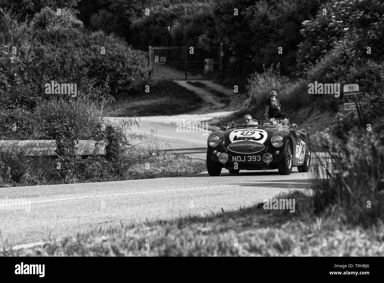 PESARO COLLE SAN BARTOLO, Italien, 17. Mai - 2018: Austin Healey 100S 1953 auf einem alten Rennwagen Rallye Mille Miglia 2018 die berühmten italienischen historischen Stockfoto