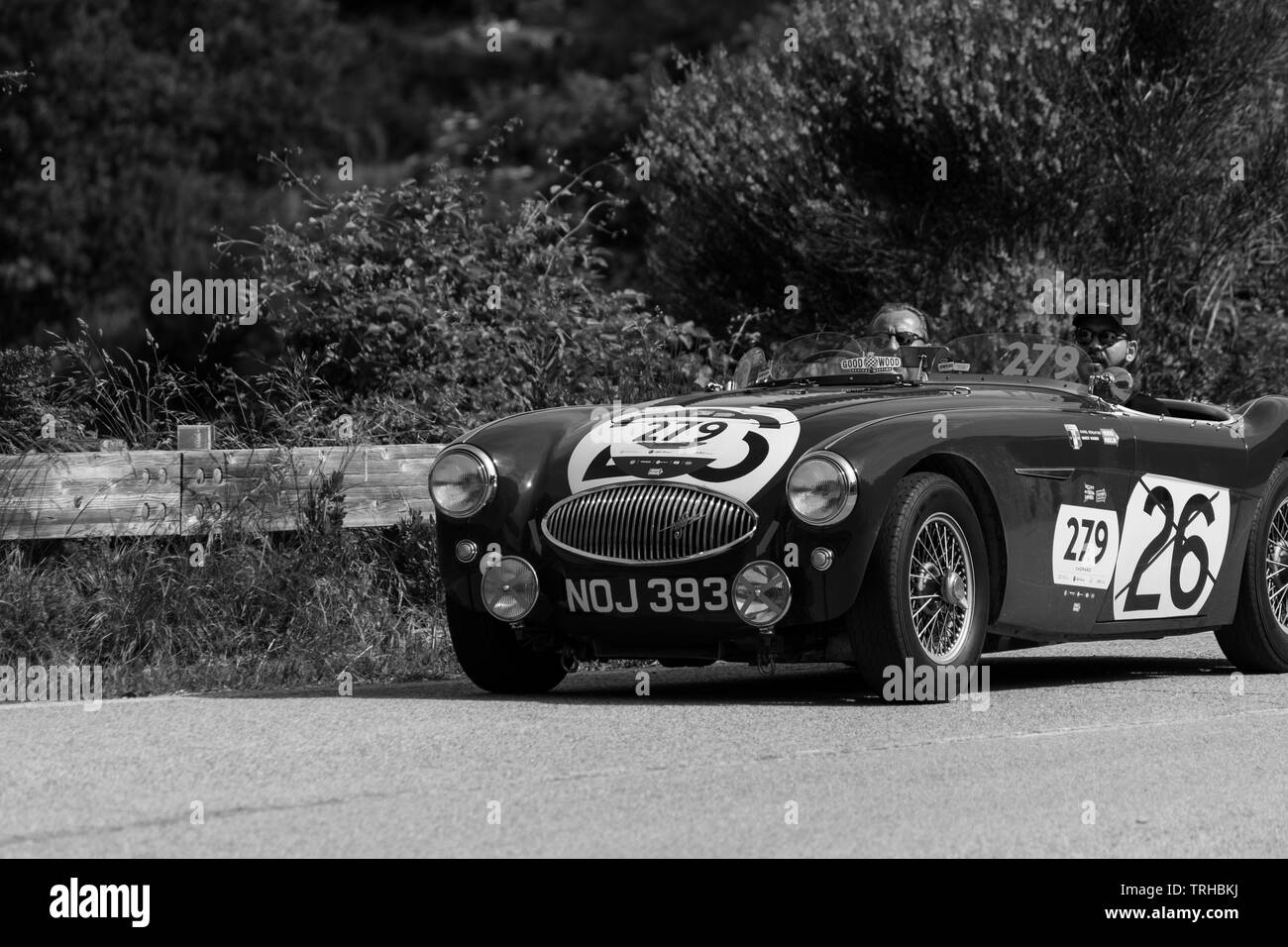 PESARO COLLE SAN BARTOLO, Italien, 17. Mai - 2018: Austin Healey 100S 1953 auf einem alten Rennwagen Rallye Mille Miglia 2018 die berühmten italienischen historischen Stockfoto