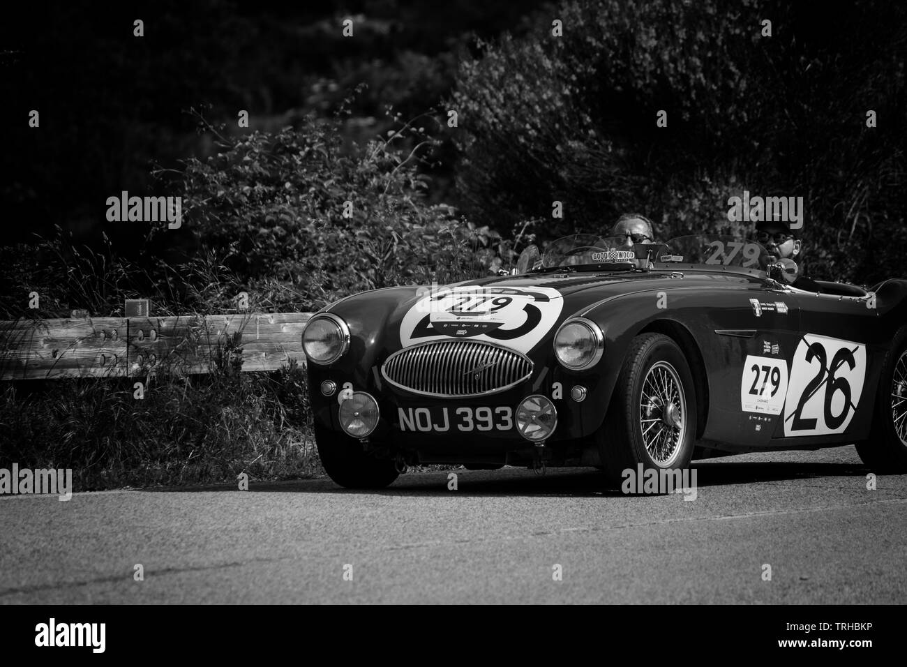 PESARO COLLE SAN BARTOLO, Italien, 17. Mai - 2018: Austin Healey 100S 1953 auf einem alten Rennwagen Rallye Mille Miglia 2018 die berühmten italienischen historischen Stockfoto