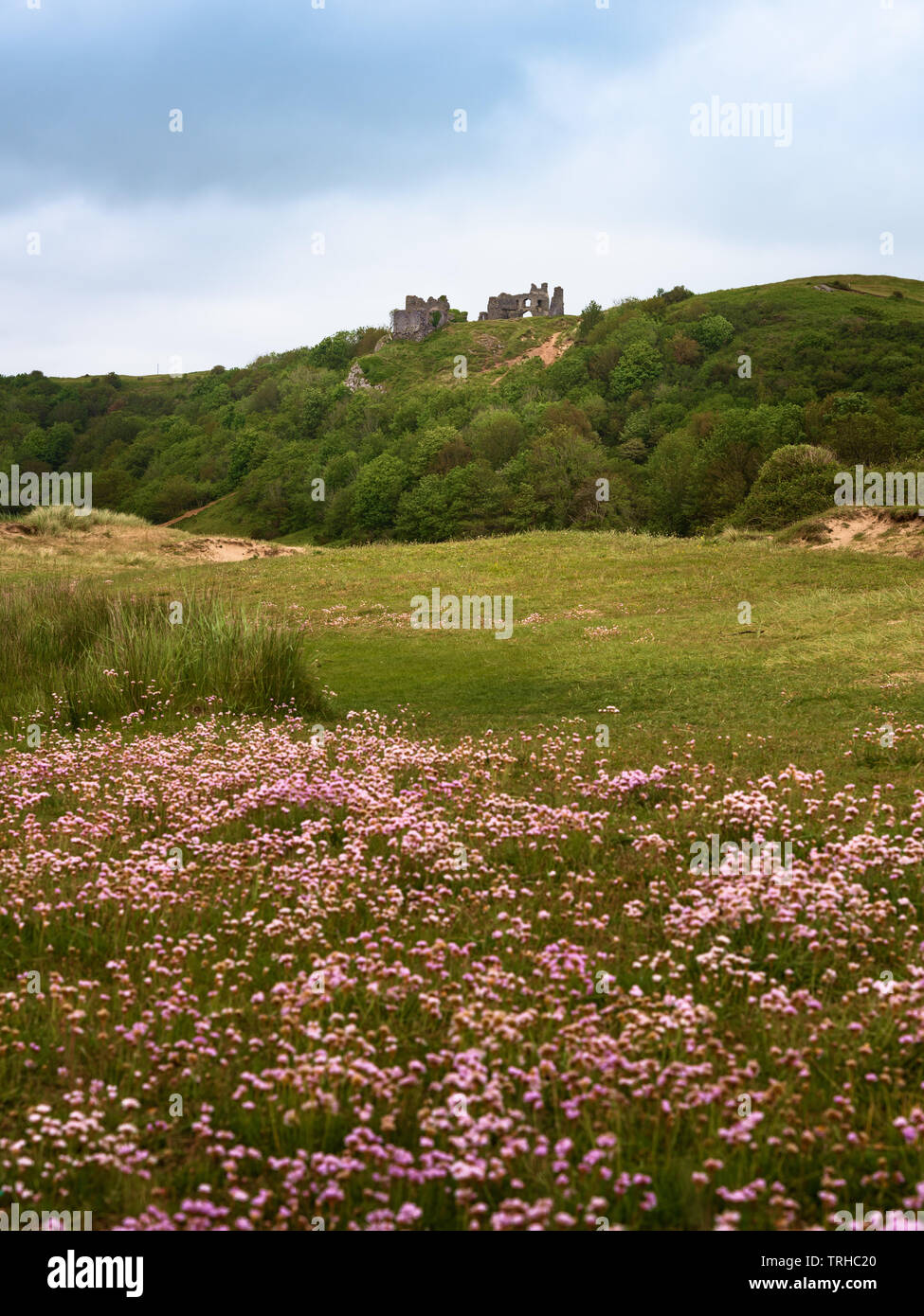 Pennard Castle, Wales, Großbritannien Stockfoto