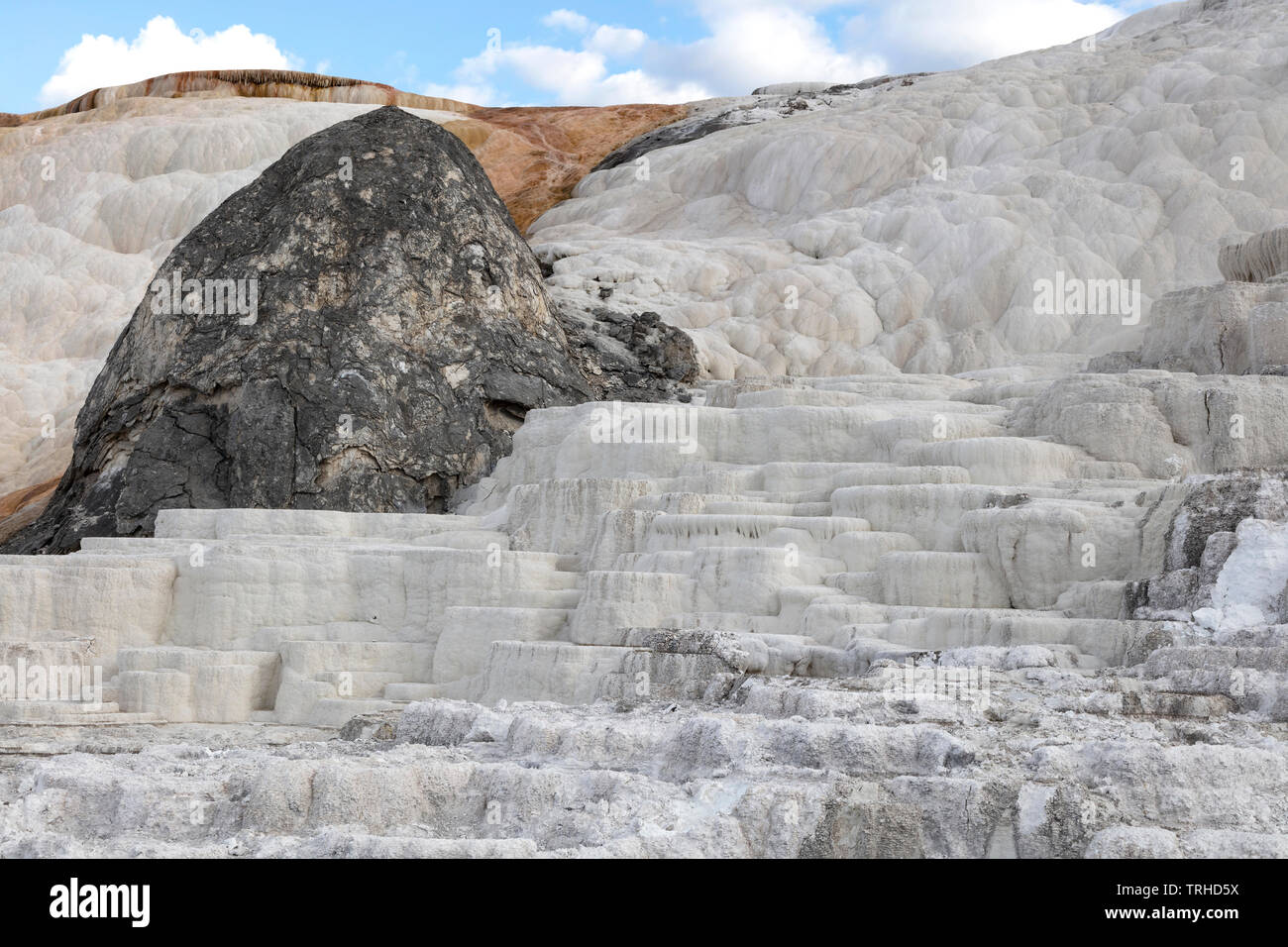 Thermische Eigenschaften, Mammoth Hot Springs, Yellowstone National Park, Montana, USA, von James D Coppinger/Dembinsky Foto Assoc Stockfoto