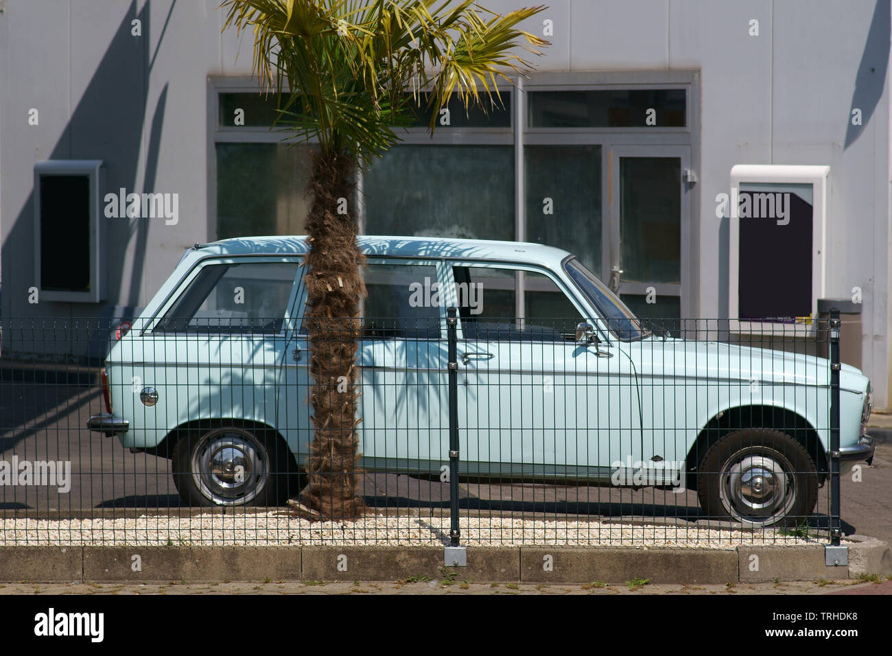 Ein gepflegter Oldtimer steht hinter einem Zaun unter einer Palme. Stockfoto