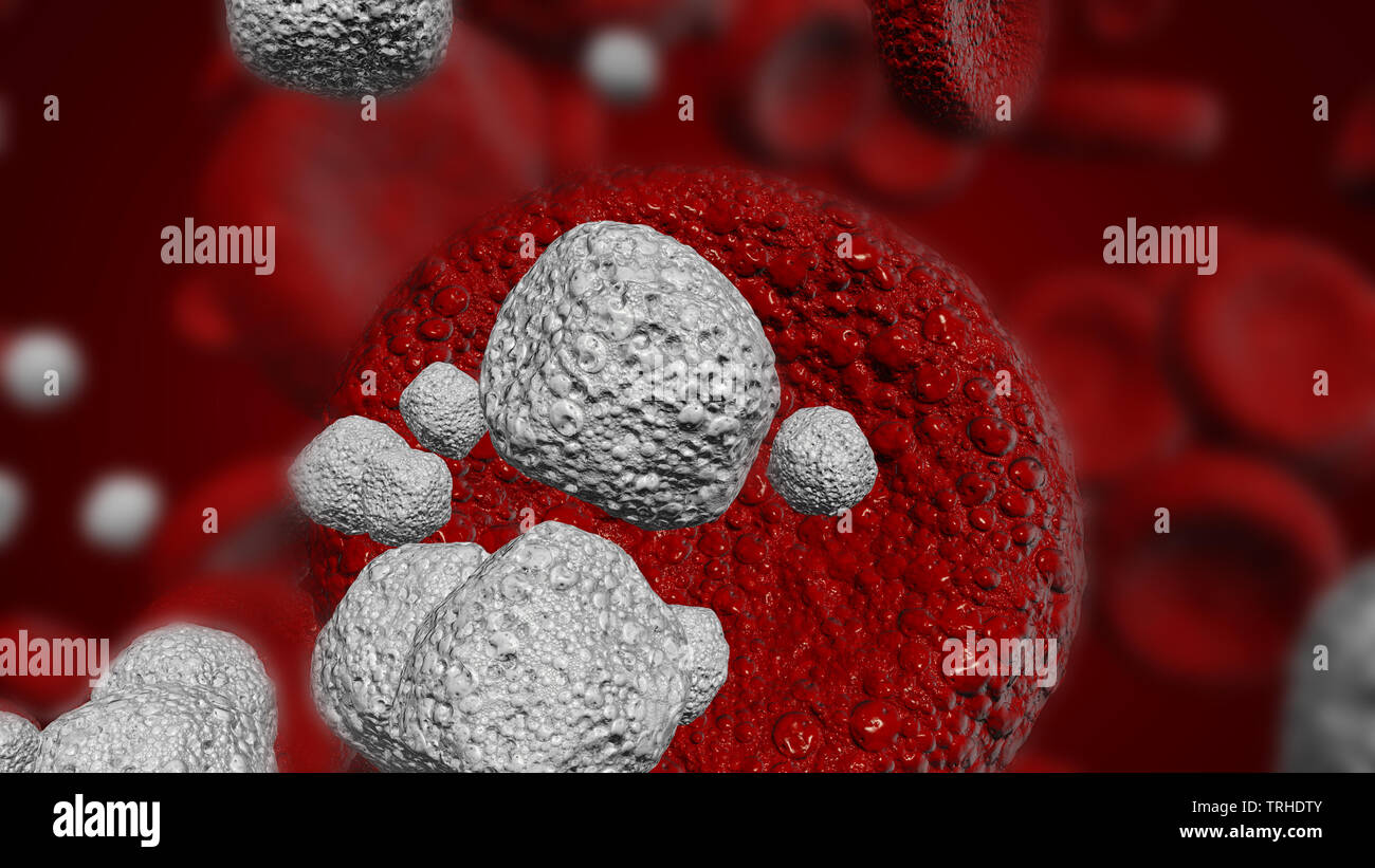 Abbildung: Weiße Blutkörperchen und rote Blutkörperchen in der Medizin oder in der Wissenschaft verwendet Stockfoto