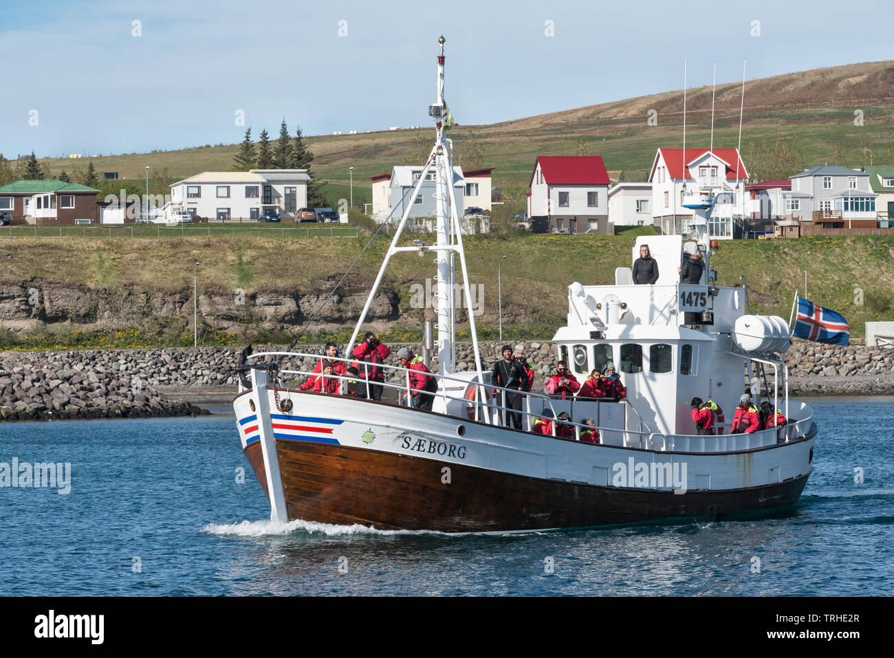 Húsavík, North Island. Touristen auf eine Whale Watching Tour Stockfoto