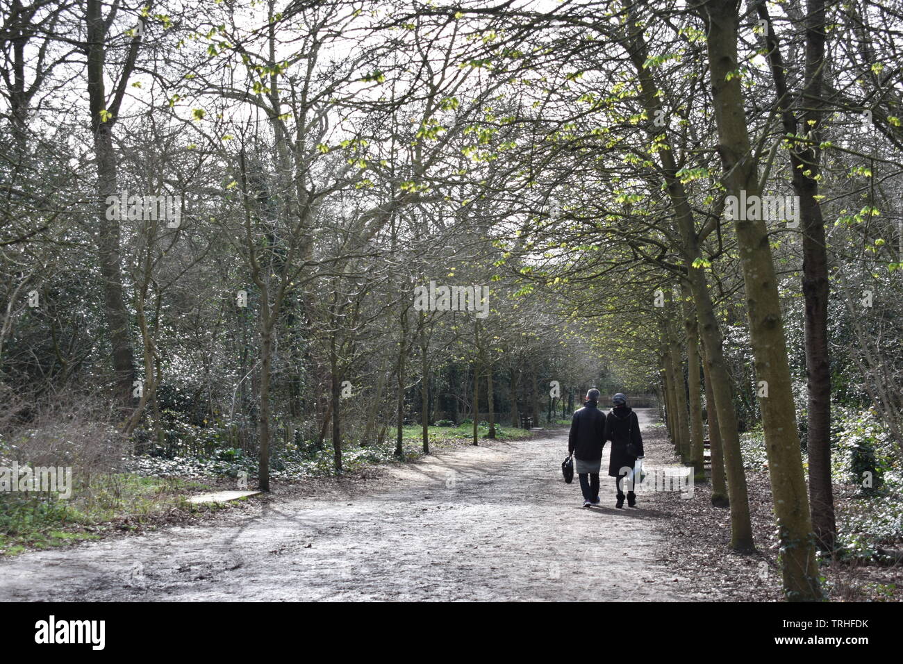 Ein Paar, das an einem herrlichen Frühlingstag in einem baumbestandenen Park spazieren geht Stockfoto