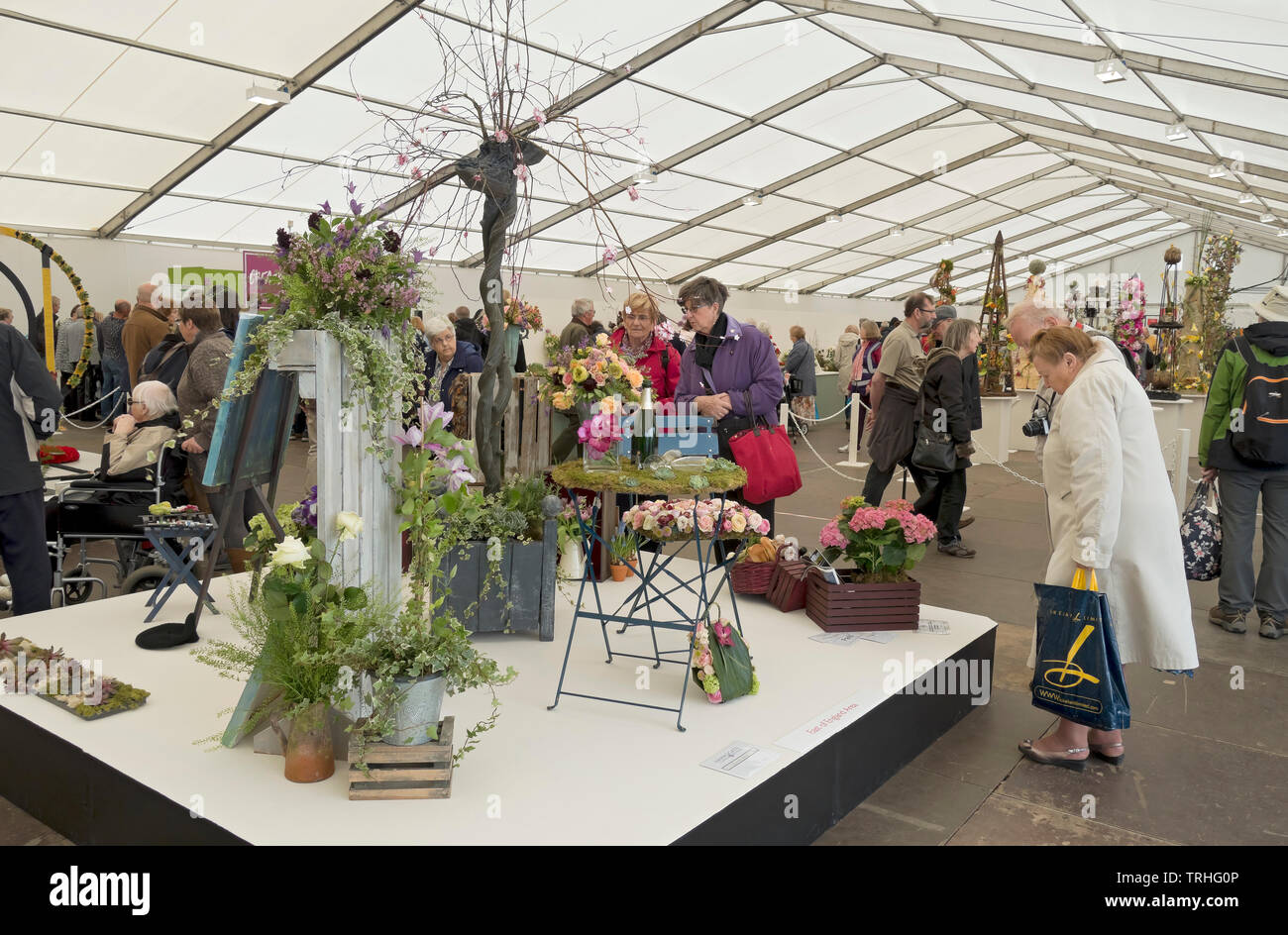 Leute Damen, die Blumenarrangements auf der Spring Flower Show Harrogate North Yorkshire England UK Großbritannien betrachten Stockfoto