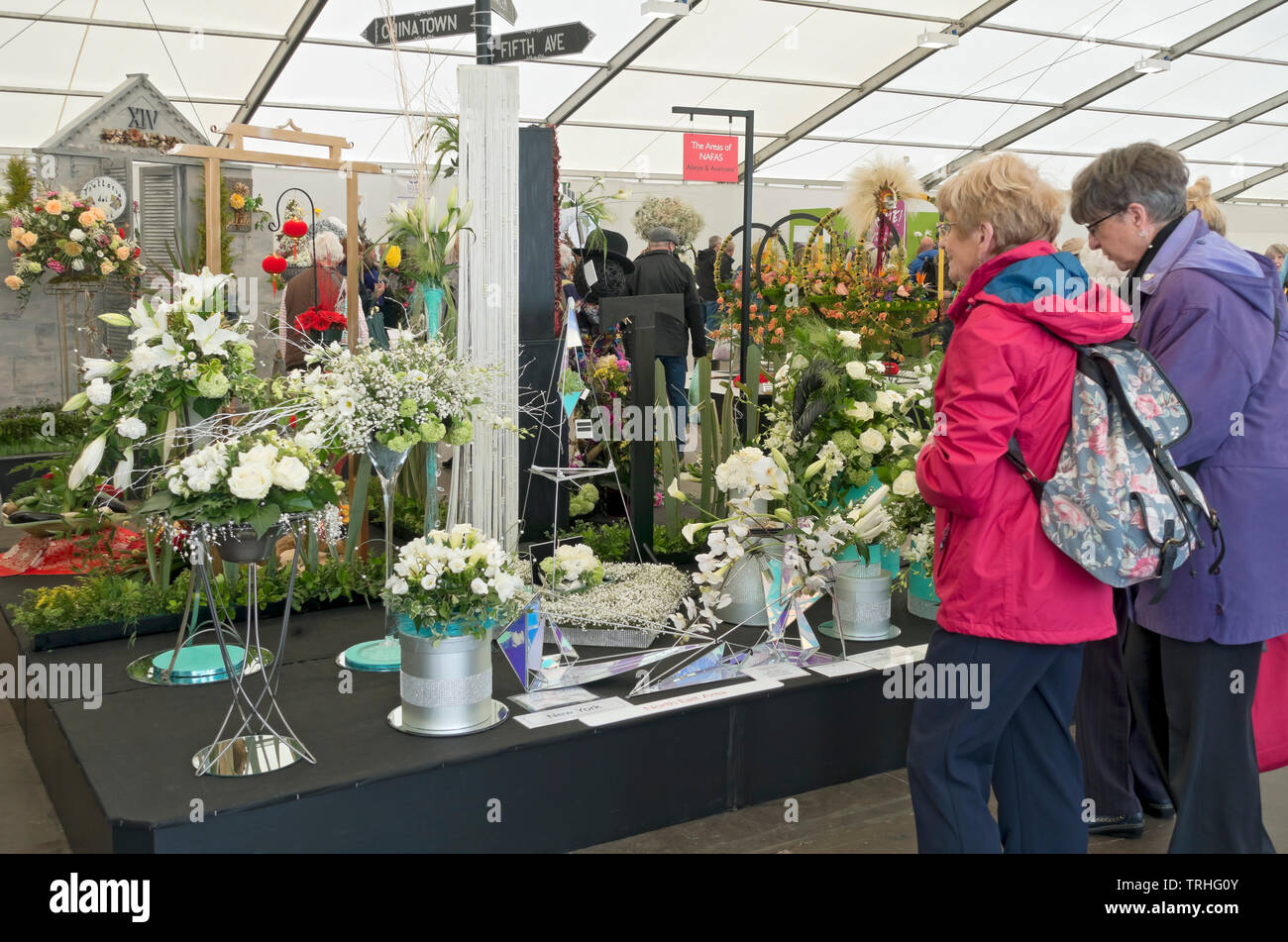 Menschen Frauen, die Blumenarrangements auf der Spring Flower Show ansehen Harrogate North Yorkshire England Vereinigtes Königreich Großbritannien Stockfoto