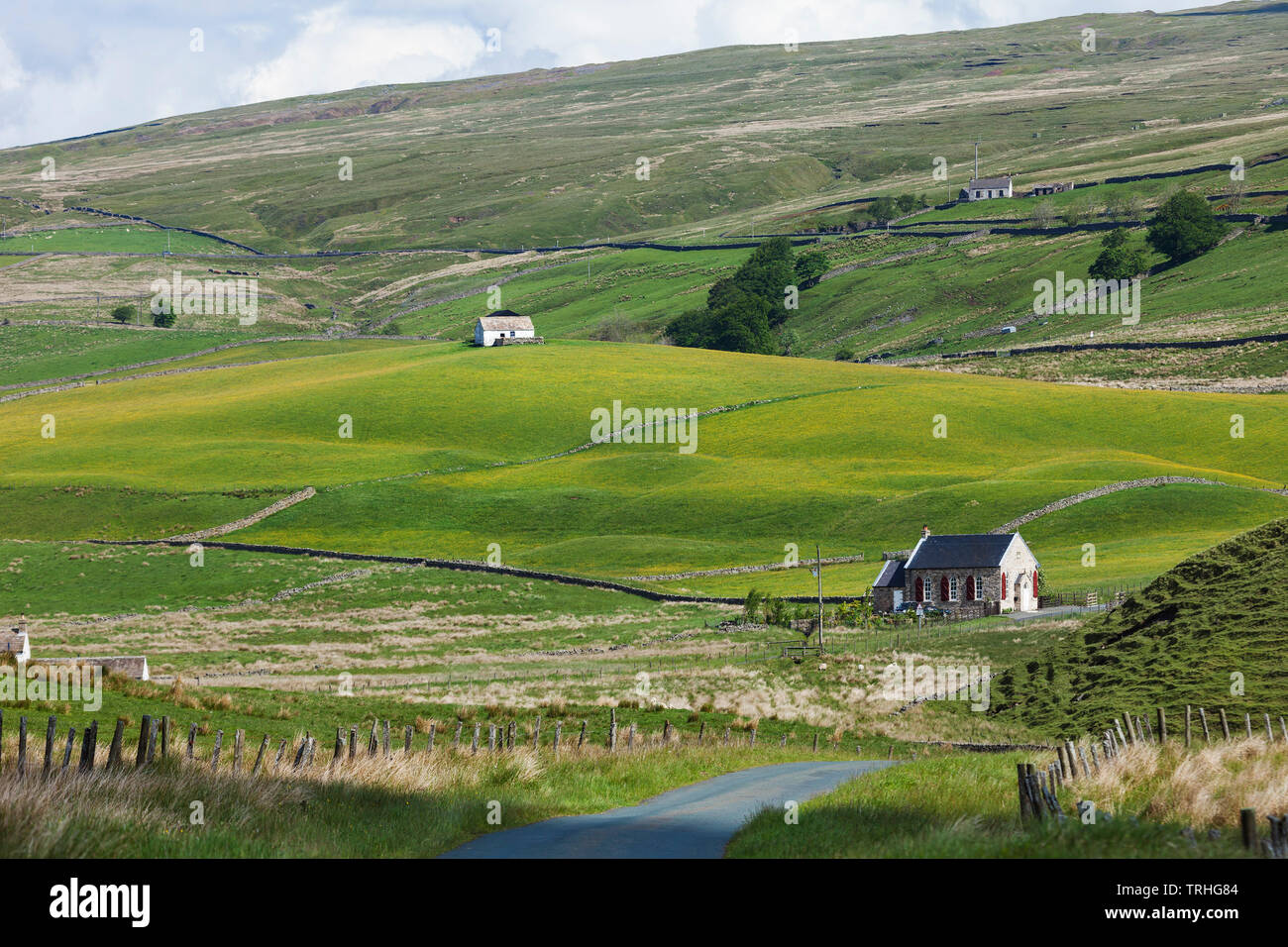 Teesdale, County Durham, UK. 6. Juni 2019. UK Wetter. Nach mehreren Tagen von schweren Duschen Die Sonne bricht durch in der North Pennines. Dies schafft ideale Voraussetzungen für die traditionell verwalteten Hochland wilde Blume mähwiesen der oberen Teesdale in Blume zu kommen. Quelle: David Forster/Alamy leben Nachrichten Stockfoto