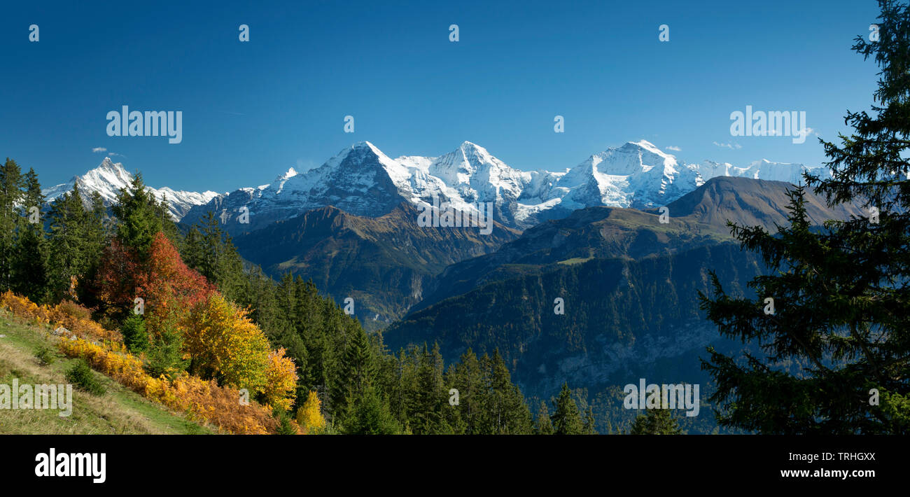 Eiger moench jungfrau -Fotos und -Bildmaterial in hoher Auflösung – Alamy