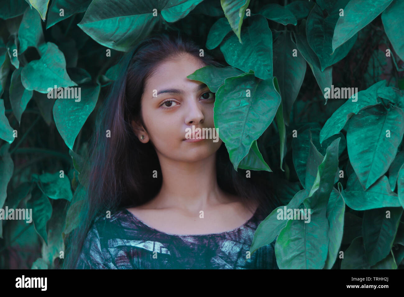 Schöne Mädchen in zwischen Blättern. Stockfoto