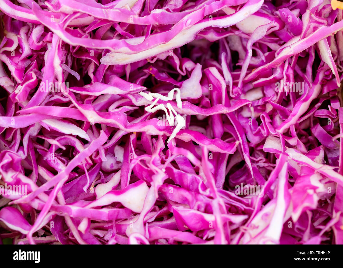 Lila Kraut geschnitten Nahaufnahme Muster Stockfoto
