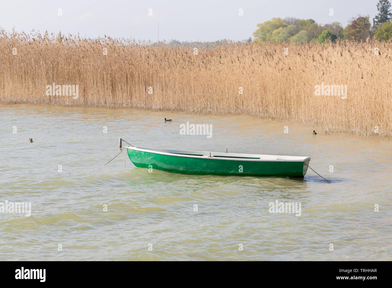 Zeile Boot vor der getrockneten Reed am Ammersee in Oberbayern. Sanfte Wellen bewegen im Wasser. Ruhigen und ruhigen Sommer Szene. Stockfoto