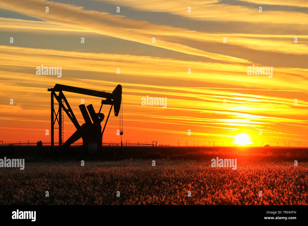Silhouetted pumpjack im Ölfeld bei Sonnenuntergang Stockfoto