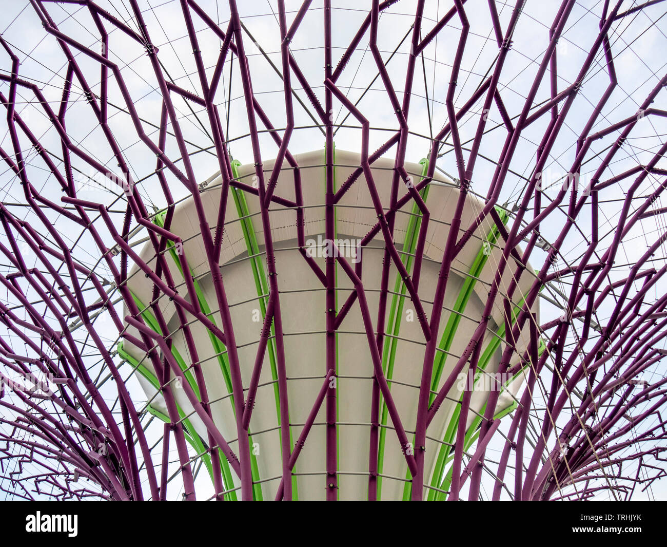 Stahlgitter Vordach eines künstlichen Baum im Supertree Grove an Gärten an der Bucht von Singapur. Stockfoto