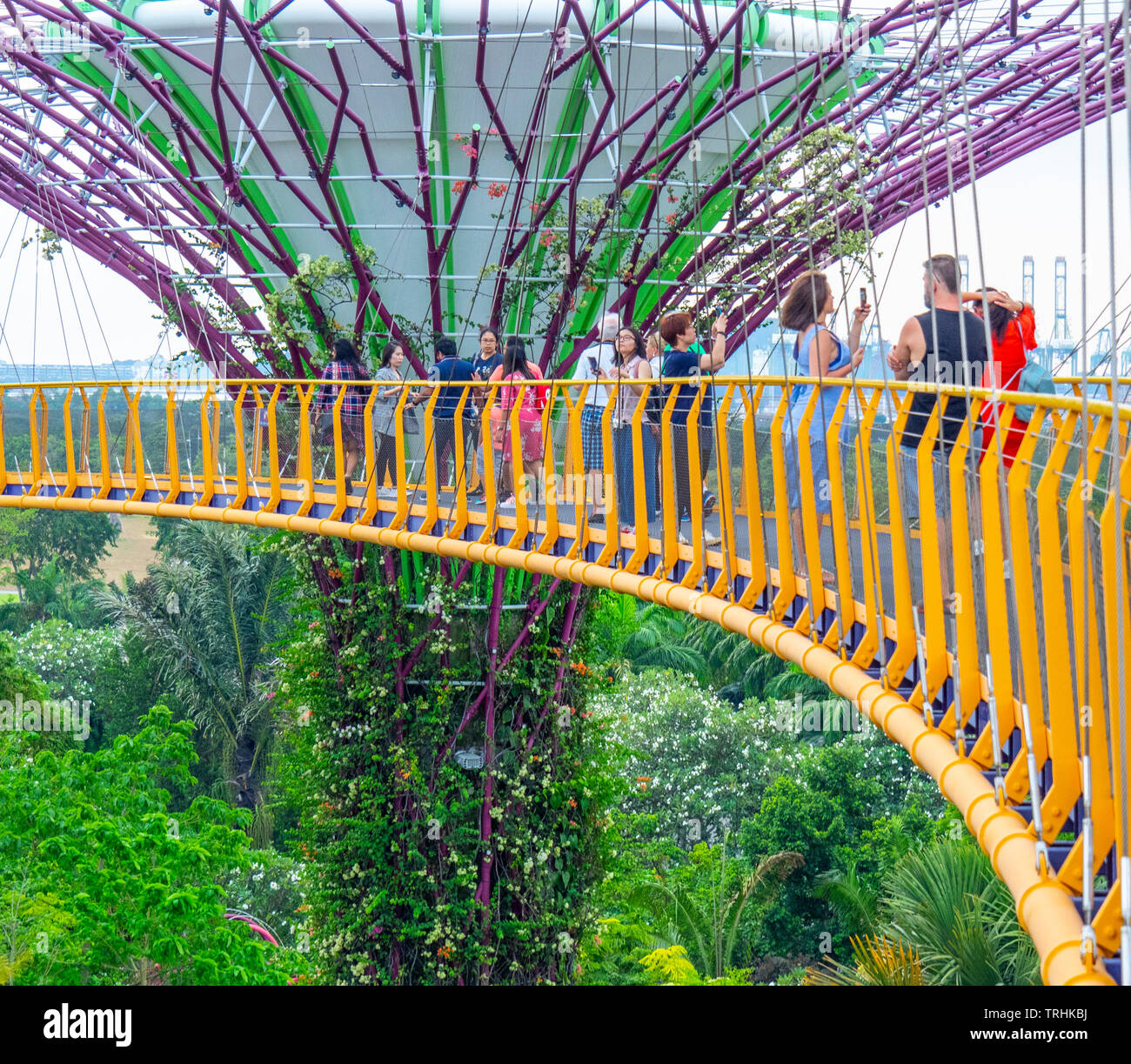 Touristen auf dem erhöhten Laufsteg OCBC Skyway zwischen zwei Der Supertrees in der Supertree Grove an Gärten an der Bucht von Singapur. Stockfoto