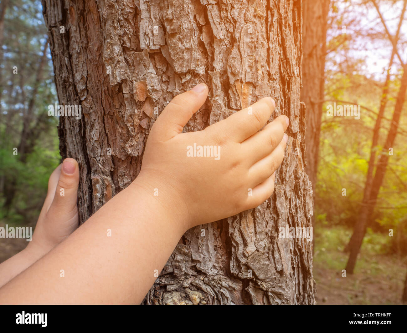 Mädchen berühren Baum im Wald im Frühling Stockfoto