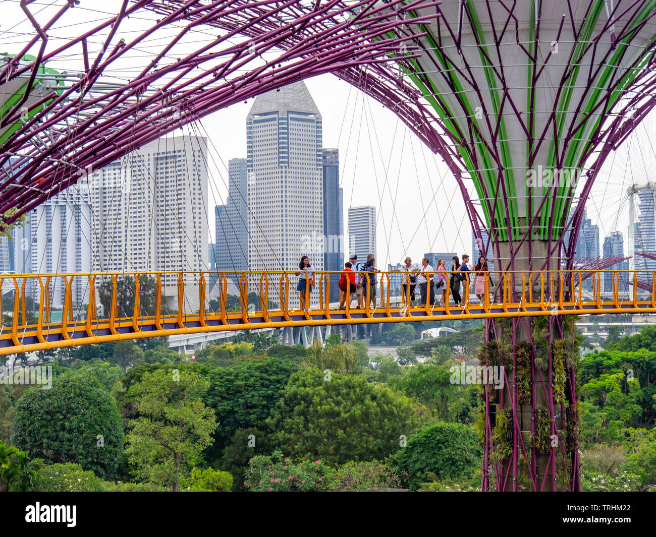 Touristen auf dem erhöhten Laufsteg OCBC Skyway zwischen zwei Der Supertrees in der Supertree Grove an Gärten an der Bucht von Singapur. Stockfoto