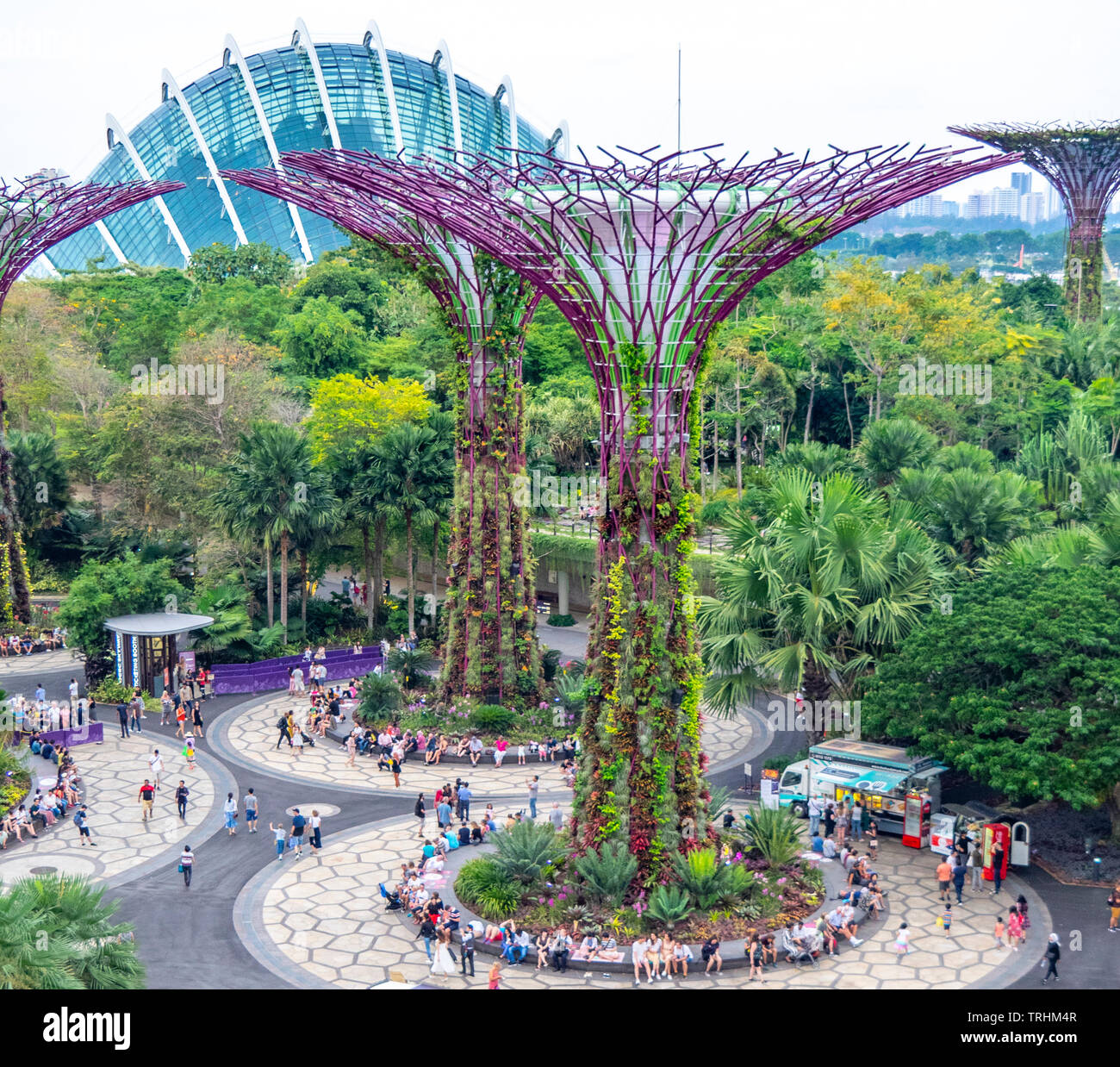 Touristen gehen zwischen den künstlichen Bäume in der Supertree Grove vertikale Garten in der Gartenanlage an der Bucht von Singapur. Stockfoto