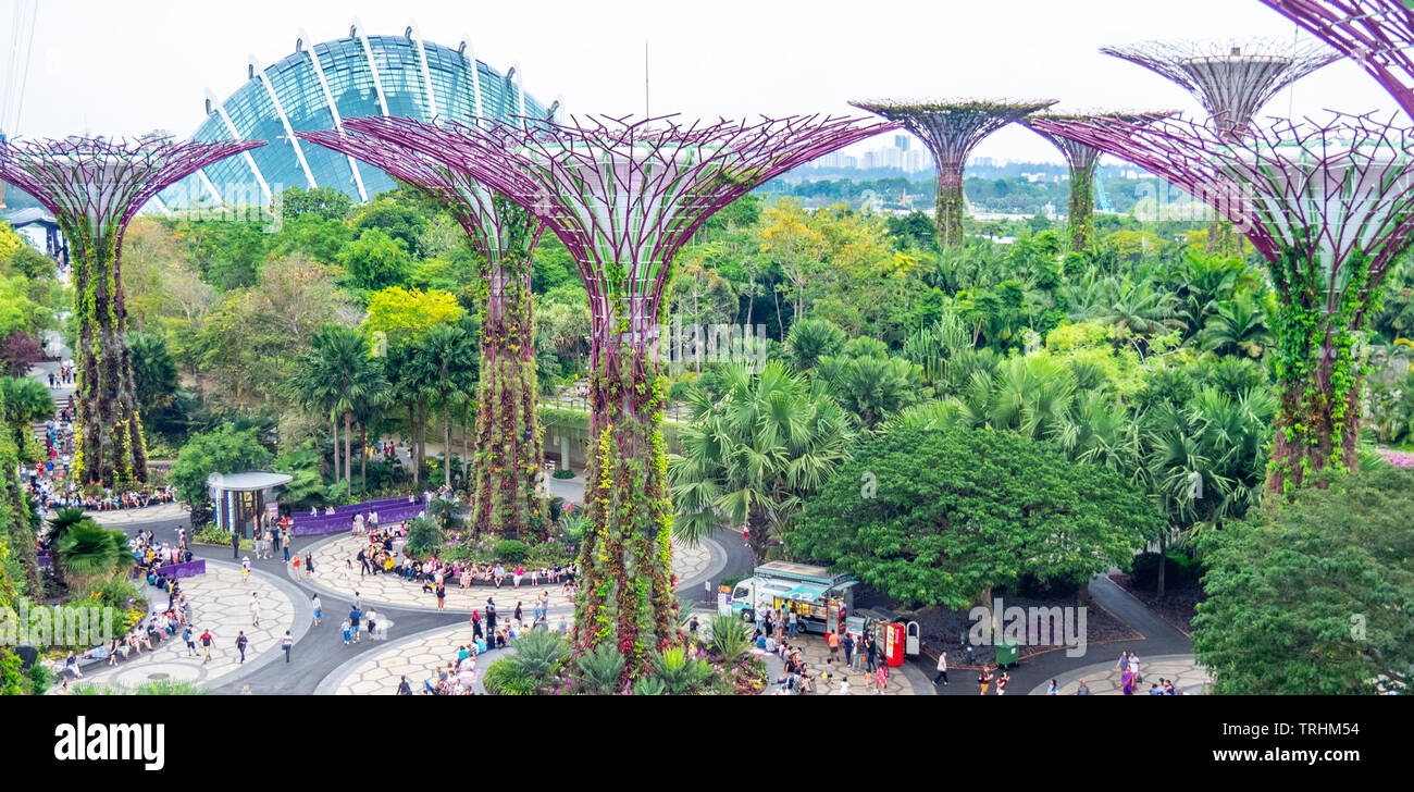 Touristen gehen zwischen den künstlichen Bäume in der Supertree Grove vertikale Garten in der Gartenanlage an der Bucht von Singapur. Stockfoto