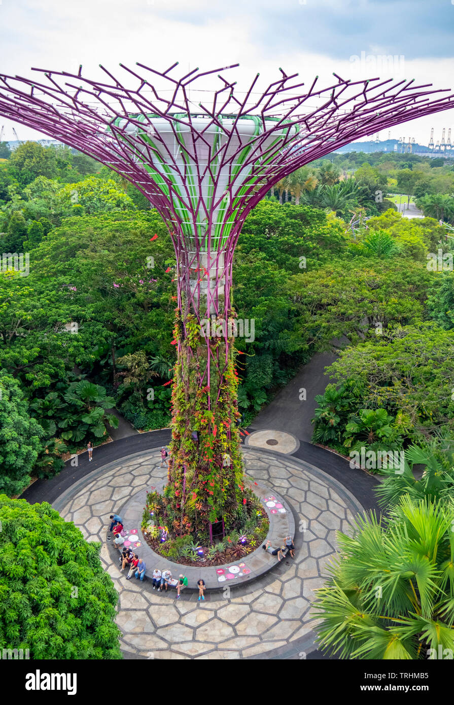 Ein knstlicher Baum vertikale Garten in der Supertree Grove an Grten an  der Bucht von Singapur Stockfotografie - Alamy