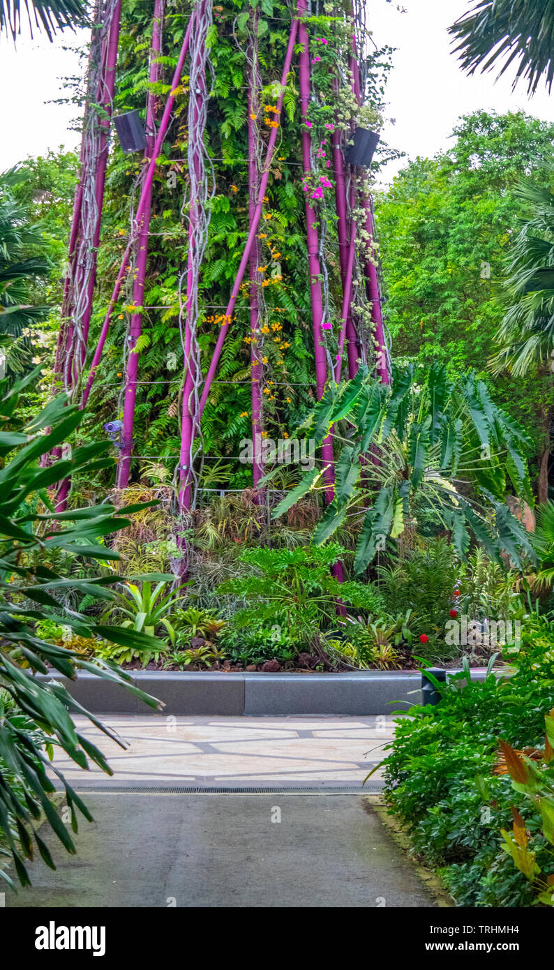 Singapur gartenbau garten Fotos und Bildmaterial in hoher Auflösung