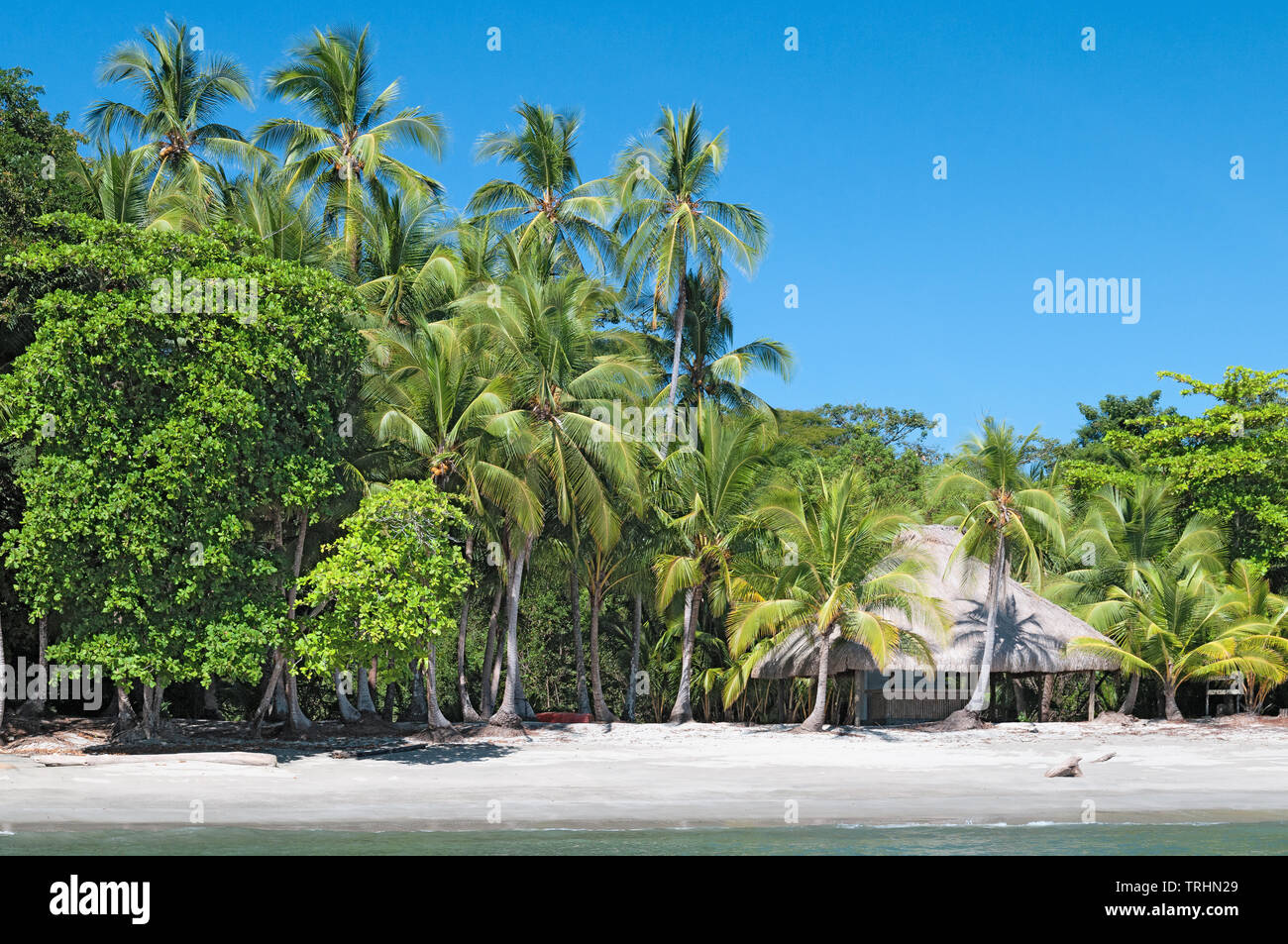 Wunderschönen tropischen Insel Landschaft in Chiriqui, Panama. Stockfoto