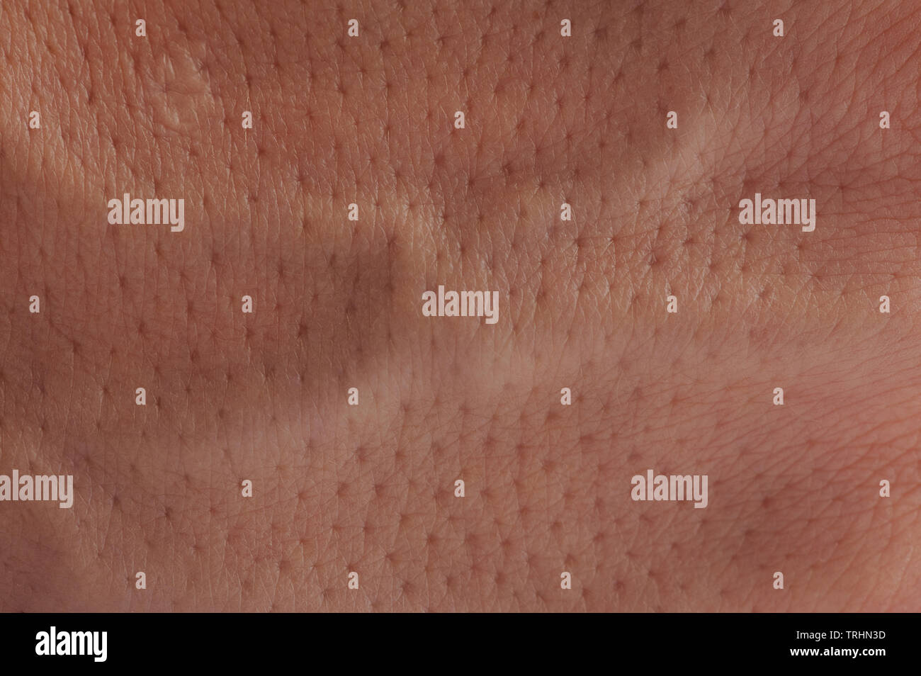 Rosa Haut Oberfläche mit Poren schließen bis Makro anzeigen Stockfoto