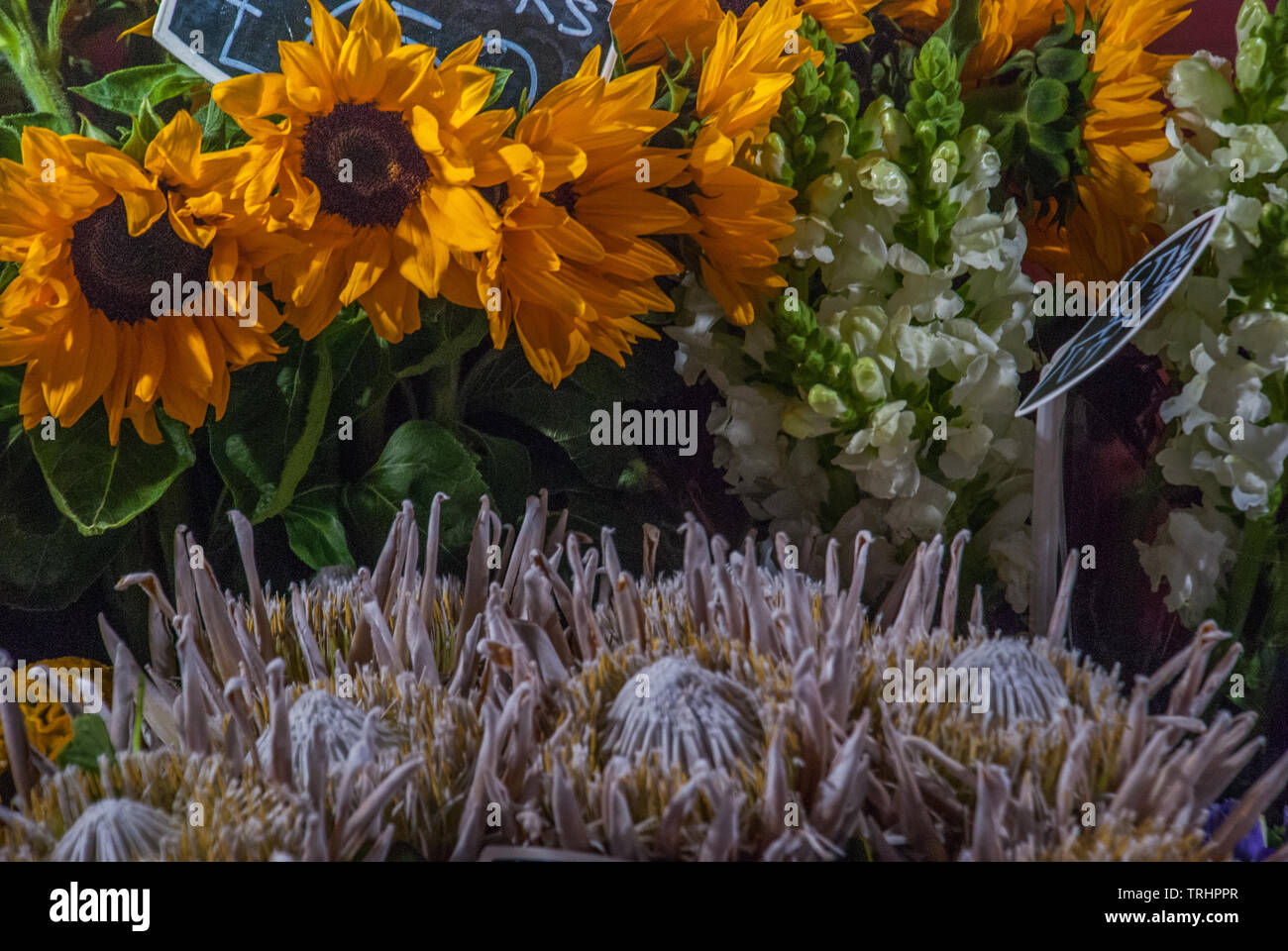 Schönen Blumenstrauß aus gemischten Blumen. Die Arbeit des Floristen zu einem Blumenladen, Hintergrund auf Vollbild. Stockfoto