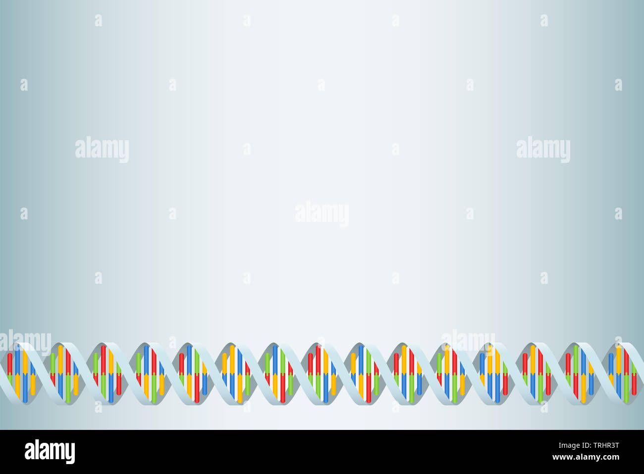 DNA-Doppelhelix Hintergrund mit nukleinbasen Adenin, Cytosin, Guanin und Thymin in vier verschiedenen Farben. Stockfoto
