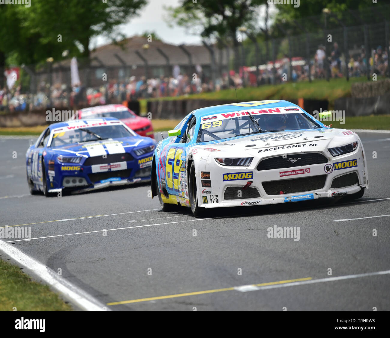 Sebastiaan Bleekemolen, Ford Mustang, Elite 1, NASCAR, Amerikanische Speedfest VII, Brands Hatch, Juni 2019, Automobile, Autosport, Autos, Circ. Stockfoto