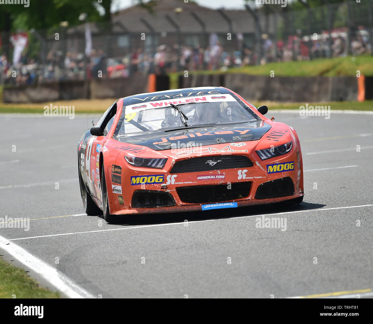 Gianmarco Ercoli, Ford Mustang, Elite 1, NASCAR, Amerikanische Speedfest VII, Brands Hatch, Juni 2019, Automobile, Autosport, Autos, Stromkreis ra Stockfoto