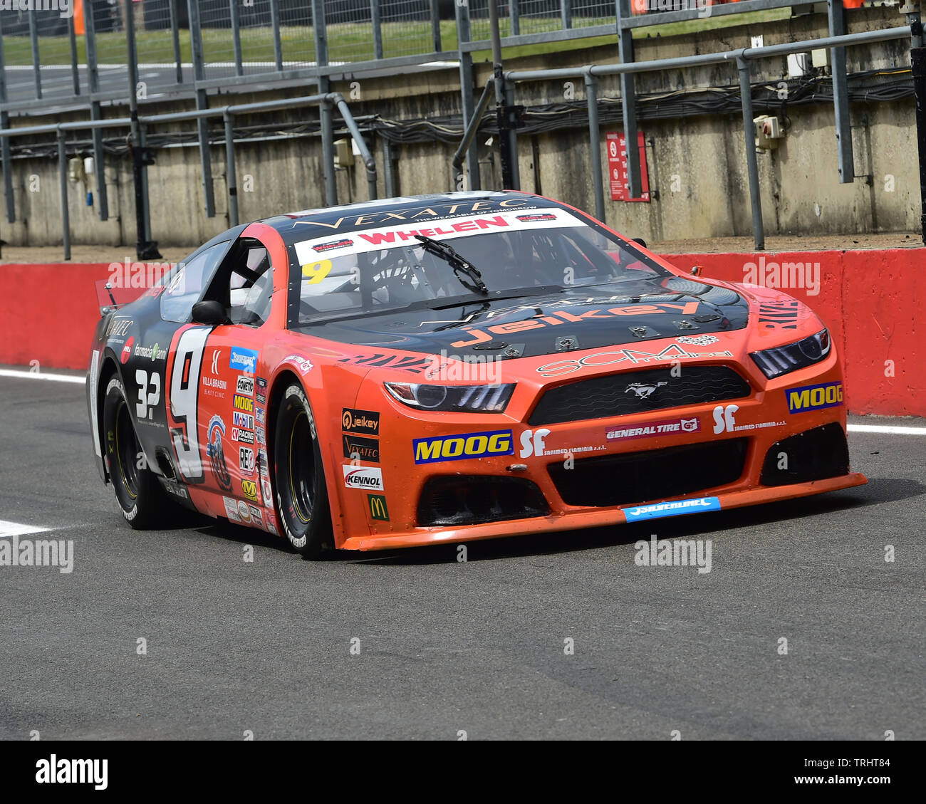 Gianmarco Ercoli, Ford Mustang, Elite 1, NASCAR, Amerikanische Speedfest VII, Brands Hatch, Juni 2019, Automobile, Autosport, Autos, Stromkreis ra Stockfoto