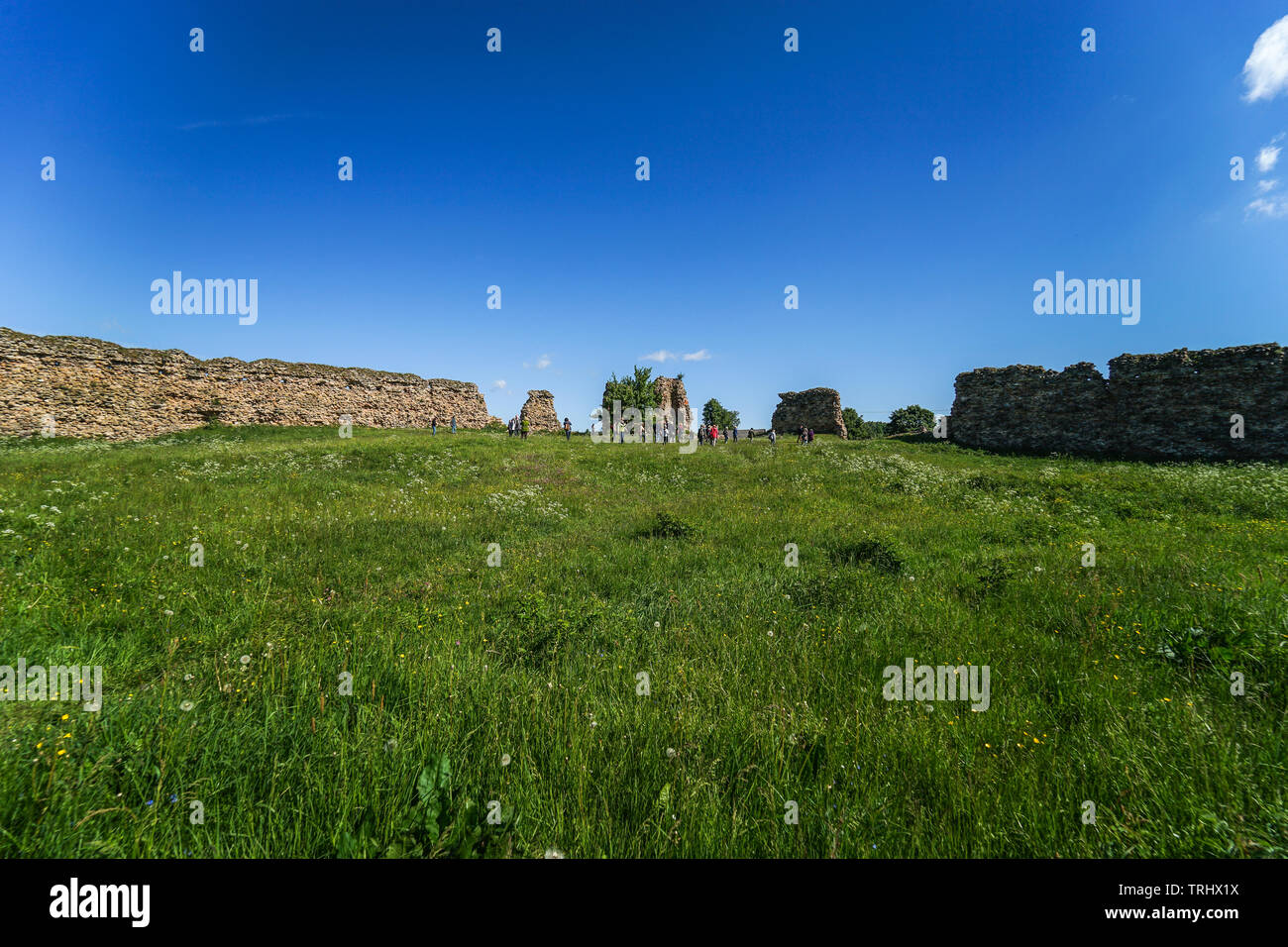 Kreva Burg im Sommer in Smorgon Bezirk, Gebiet Grodno, Weißrussland. Ruinen einer großen befestigten Residenz des Großfürsten von Litauen Stockfoto