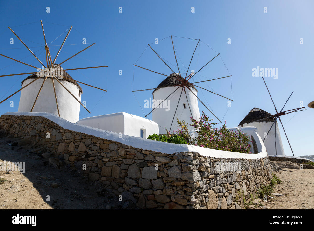 Drei der Kato Mili Windmühlen an einem sonnigen Nachmittag., mit Steinwänden und Garten vor. Schuss von unten. Stockfoto