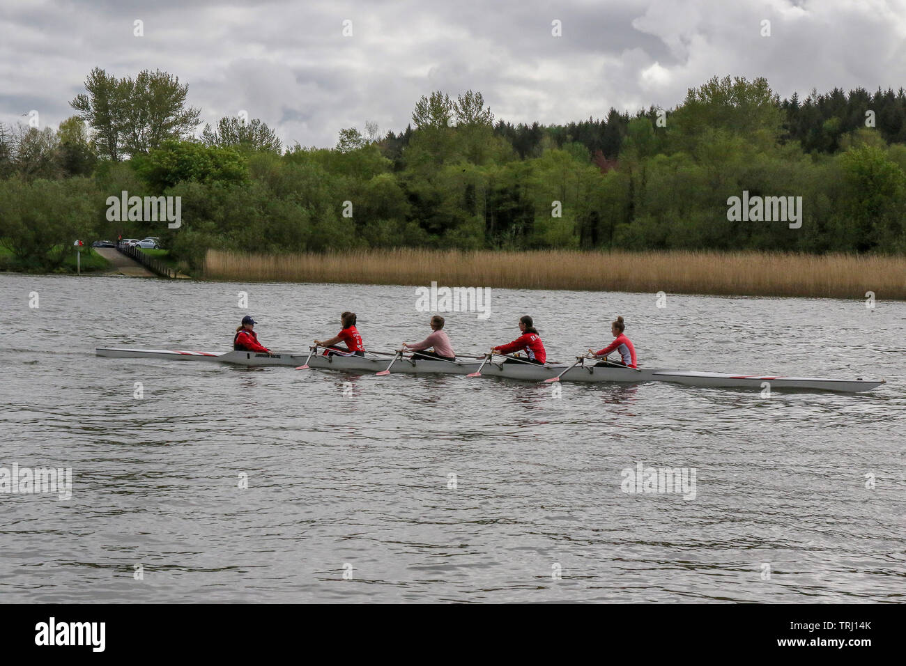 Frauen Rudern auf dem Fluss Bann in Coleraine in Nordirland. Stockfoto