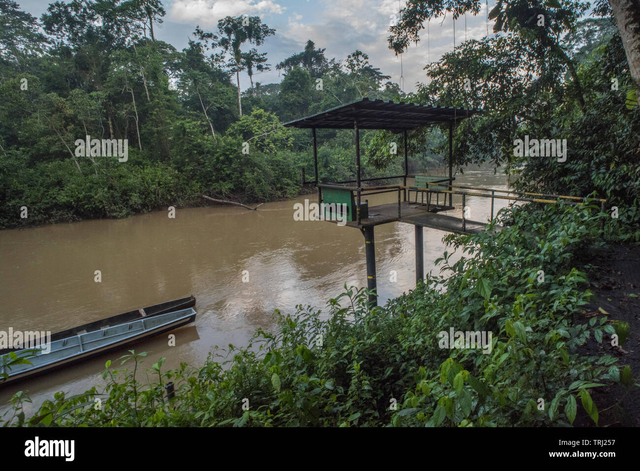 Eine Plattform mit Blick auf den Fluss Tiputini in den Amazonas Dschungel Ecuadors, eine der wildesten Orte auf der Erde. In Yasuni Nationalpark. Stockfoto