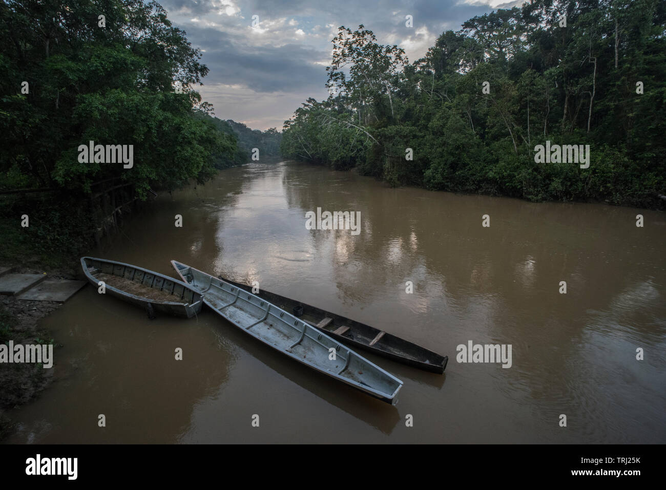 Kanus schweben in der tiputini Fluss in Yasuni Nationalpark, durch die Wüste und artenreichen Regenwald im Amazonasbecken umgeben. Stockfoto